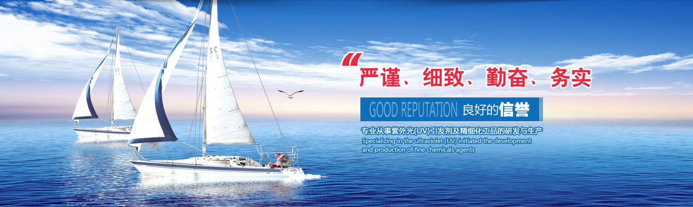 連云港德洋化工有限公司/山東德洋新材料有限公司